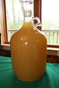 It's starting to look like...something