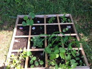 Big variety in a small space