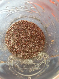 Real, round mustard seeds