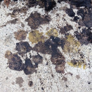 Someone's in trouble, and I think it's me.