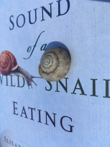 earth day snail